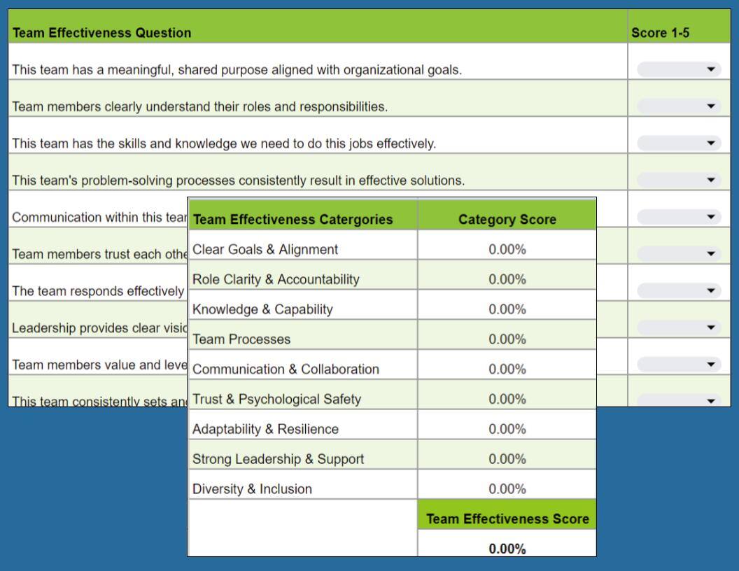 Team Effectiveness Diagnostic (2)