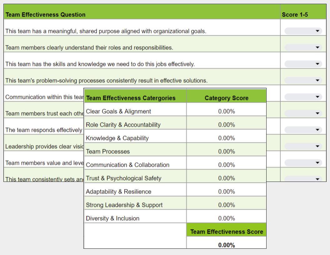 Team Effectiveness Diagnostic